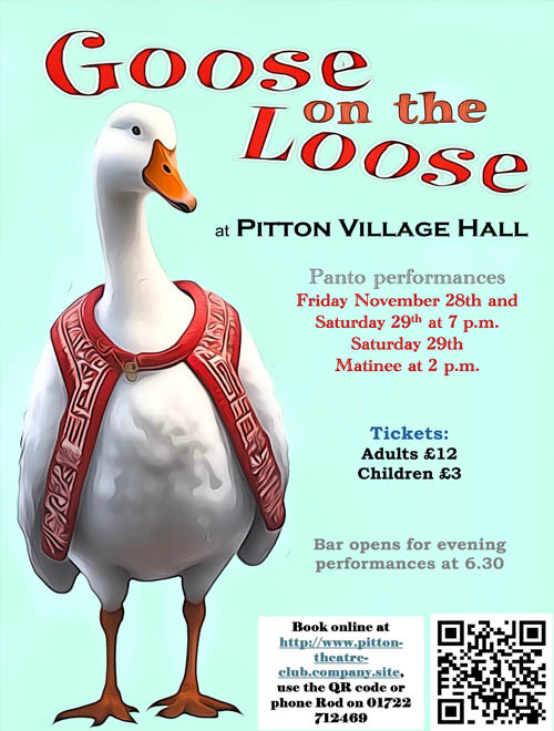 Pitton Village Hall image